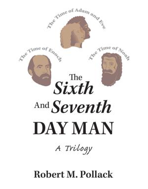 Cover of the book The Sixth and Seventh Day Man by Wayne Elliott