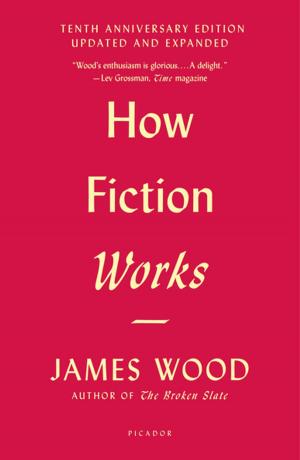 Book cover of How Fiction Works