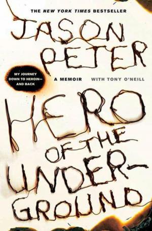 Cover of the book Hero of the Underground by David J. Schow