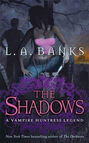 Cover of the book The Shadows by Laurie Dubay