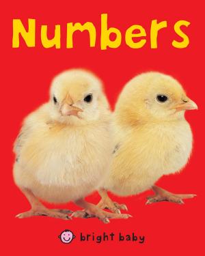 Cover of the book Bright Baby Numbers by Jim Cathcart