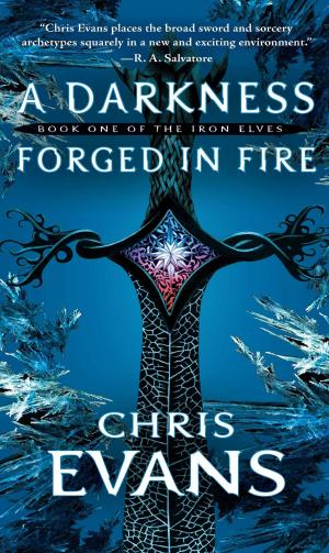 bigCover of the book A Darkness Forged in Fire by 