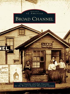 Cover of the book Broad Channel by Amy Rogers