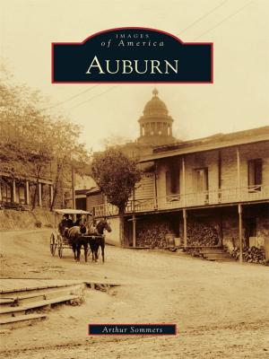 Cover of the book Auburn by Stephanie Briley Fidler