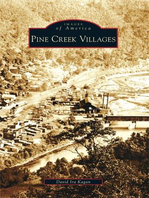 Cover of the book Pine Creek Villages by Christopher R. Barraclough