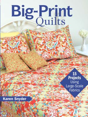 bigCover of the book Big-Print Quilts by 
