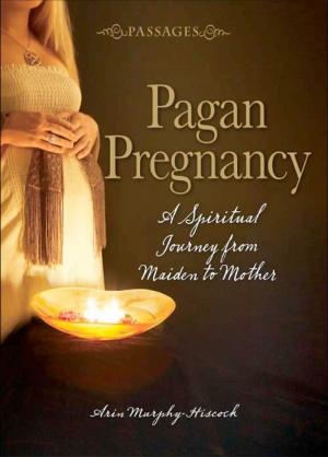 Cover of the book Passages Pagan Pregnancy by Linda Vandermeer