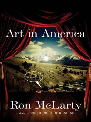 Cover of the book Art in America by Robert Graysmith