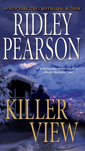 Cover of the book Killer View by J. Kathleen Cheney
