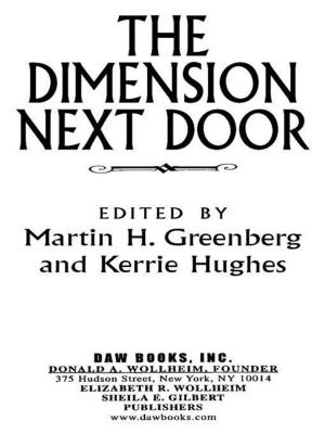 Cover of the book The Dimension Next Door by P. R. Frost