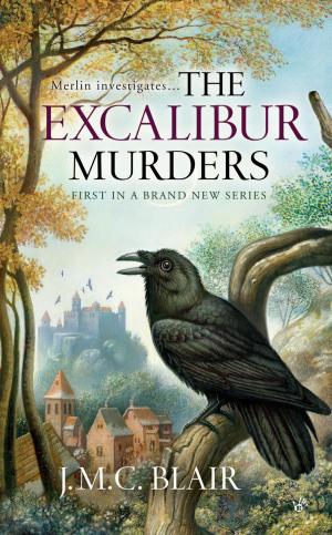 Cover of the book The Excalibur Murders by Meg Gardiner