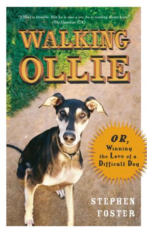Cover of the book Walking Ollie by Todd Kashdan, Robert Biswas-Diener