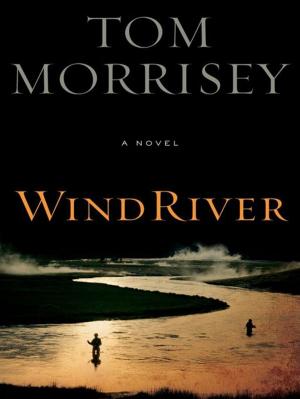 bigCover of the book Wind River by 