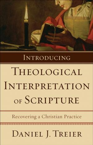 Cover of the book Introducing Theological Interpretation of Scripture by Sarah Sundin