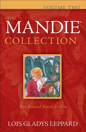 Cover of the book Mandie Collection, The : Volume 2 by Tom Steffen, Lois McKinney Douglas