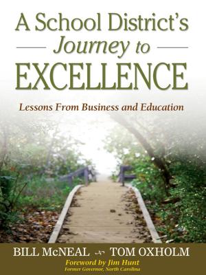 Cover of the book A School District’s Journey to Excellence by Dr. David Knights, Hugh Willmott
