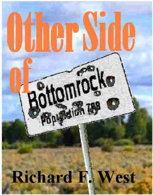 Book cover of Other Side of Bottomrock