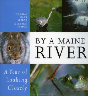 Cover of the book By a Maine River by Irene Schampaert