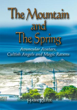 Book cover of The Mountain and the Spring
