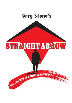 Cover of the book Straight Arrow by Helias Doundoulakis, Gabriella Gafni