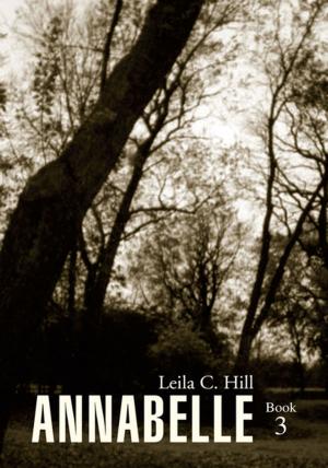 Cover of the book Annabelle Book 3 by Gregory Coffin