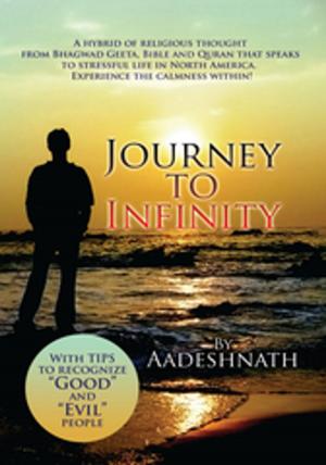 Cover of the book Journey to Infinity by T. Beeth