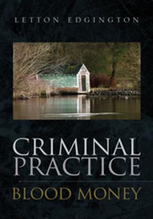 Cover of the book Criminal Practice by Eva Marer