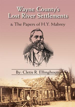 Cover of the book Wayne County's Lost River Settlements by Michael Montgomery