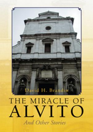 Cover of the book The Miracle of Alvito by Sonja Brooke