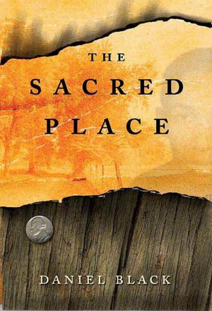 Book cover of The Sacred Place