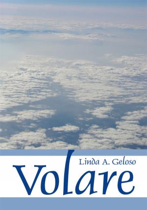 Cover of the book Volare by Elaine C. Ehrich