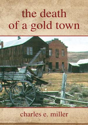 Cover of the book The Death of a Gold Town by G.J. Machaby