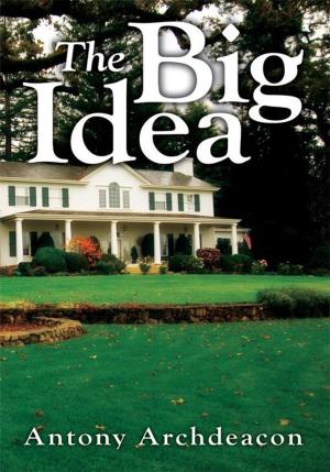 Cover of the book The Big Idea by Connie Pitts