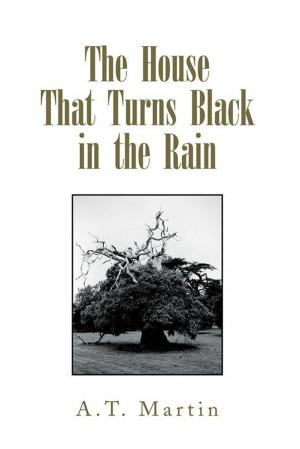 bigCover of the book The House That Turns Black in the Rain by 