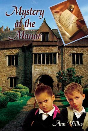Cover of the book Mystery at the Manor by Jeffrey B-izzaak