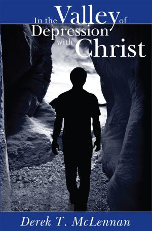 Book cover of In the Valley of Depression with Christ