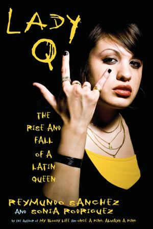 Cover of the book Lady Q by Amine Cumsky Weiss