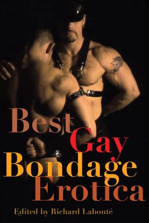 bigCover of the book Best Gay Bondage Erotica by 