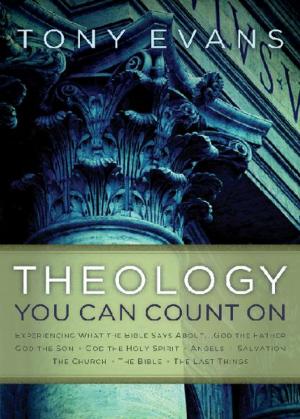 Cover of the book Theology You Can Count On by Hannah Farver