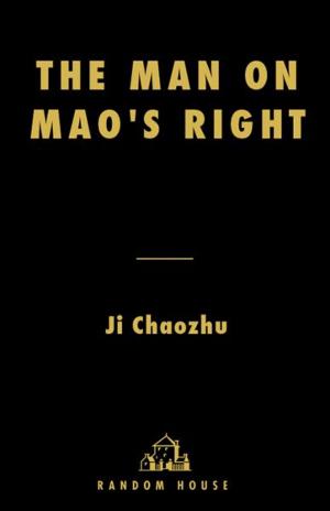 Cover of the book The Man on Mao's Right by Micol Negrin