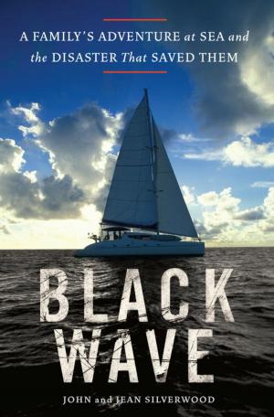 Cover of the book Black Wave by James McDermott Davidson