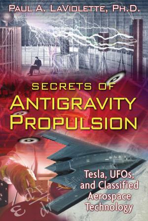 Book cover of Secrets of Antigravity Propulsion
