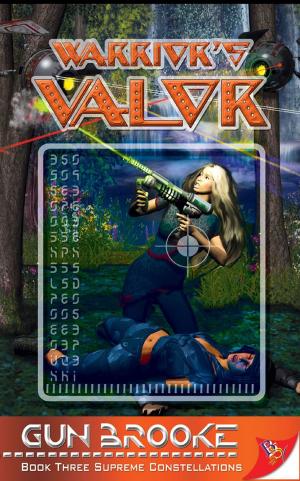 Cover of the book Warrior's Valor by Eric Andrews-Katz