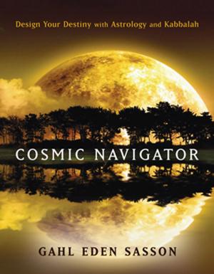 Book cover of Cosmic Navigator
