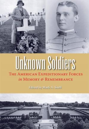 Cover of the book Unknown Soldiers by John S. Reese