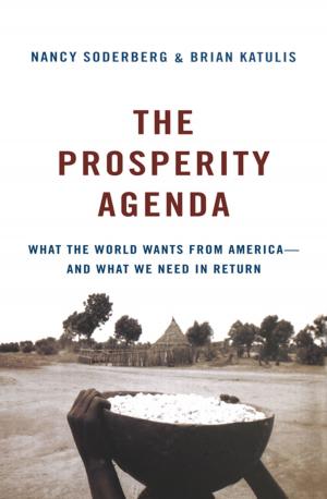Book cover of The Prosperity Agenda