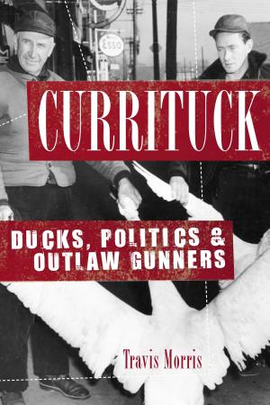 Book cover of Currituck
