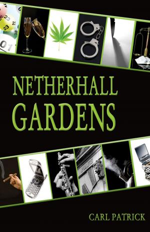 Book cover of Netherhall Gardens
