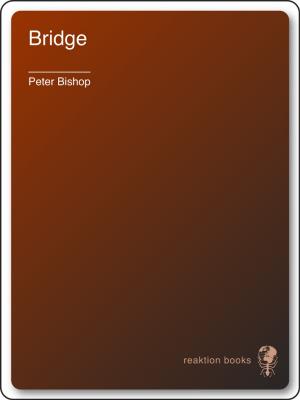 Cover of the book Bridge by Peter J. T. Morris