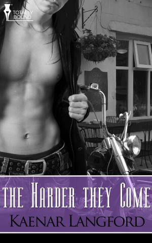 Cover of the book The Harder they Come by Lizzie Lynn Lee